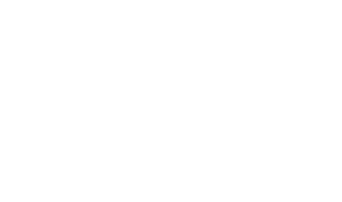 NEMT Van Icon